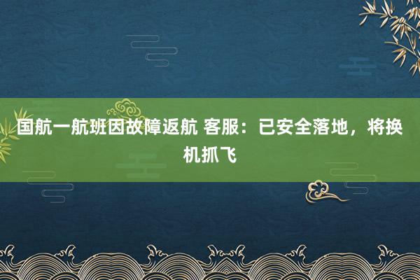 国航一航班因故障返航 客服：已安全落地，将换机抓飞
