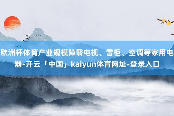 欧洲杯体育产业规模障翳电视、雪柜、空调等家用电器-开云「中国」kaiyun体育网址-登录入口