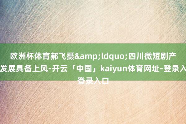 欧洲杯体育郝飞摄&ldquo;四川微短剧产业发展具备上风-开云「中国」kaiyun体育网址-登录入口