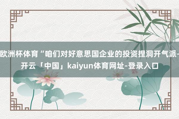 欧洲杯体育“咱们对好意思国企业的投资捏洞开气派-开云「中国」kaiyun体育网址-登录入口
