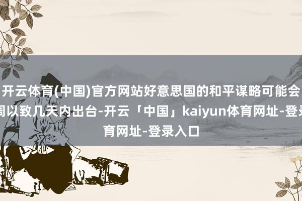开云体育(中国)官方网站好意思国的和平谋略可能会在几周以致几天内出台-开云「中国」kaiyun体育网址-登录入口