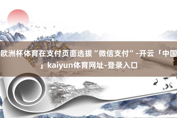 欧洲杯体育在支付页面选拔“微信支付”-开云「中国」kaiyun体育网址-登录入口